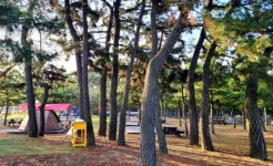 [조용준의 여행만리]신선 노닐던 두타산 베틀바위‥한걸음 더 가까이 가다