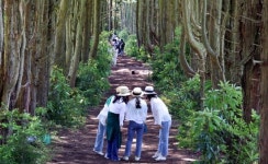 [조용준의 여행만리]숲이라 쓰고, 숨이라 읽고, 쉼이라 새긴다