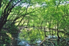 정읍시 ‘솔티마을·월령습지’ 여름철 안심 관광지 선정