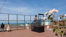 제주국제공항, 활주로와 바다가 파노라마처럼 펼쳐지는 전망대 새단장