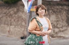 옆집 숟가락이 몇 짝인지도 아는 제주 괸당 문화를 아시나요