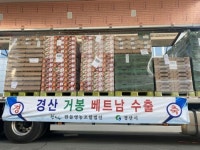경산 거봉포도 282㎏, 베트남으로 올해 첫 수출길 올라