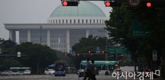 후반기 국회의장 선출과정, 국회법 논란의 맹점