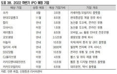 조금씩 재개되는 IPO…하반기 투자 다양성 확대될 것