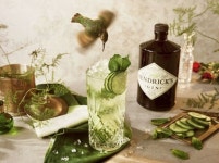 여름, 헨드릭스 진 칵테일 인터컨티넨탈, 스페셜 게스트 바텐딩 진행