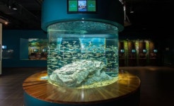 경북 ‘민물고기생태체험관’, 휴가철 손님맞이 준비 끝! … 이벤트·체험행사·선물까지 증정