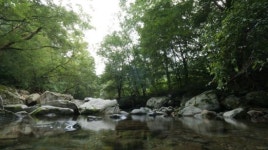 경기도, 7~11월 계곡 체험 프로그램 운영