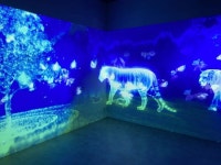 올해 여름방학은 함평자연생태공원서 아이와 함께