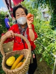 [100세 뇌건강⑤] 텃밭 가꾸며 자연 느끼고…달라지는 치매 요양시설