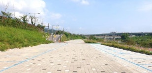 추석 연휴 노원구청 대강당 애견 호텔 변신