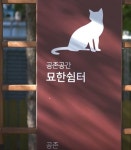 울산교육청, 길고양이와의 공존 영상 유튜브 공개