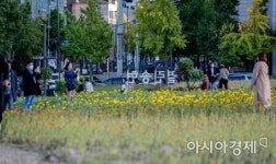 [포토]송현동 부지 개방