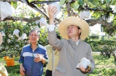 윤병태 나주시장, 농산물 수확 현장 방문…애로사항 청취