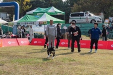 “멍멍이들도 운동회한다!”...광진구, 멍토피아 운동회 개최