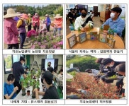 농업으로 지친 몸과 마음 회복…서울시, 시민참여 치유농업프로그램 운영