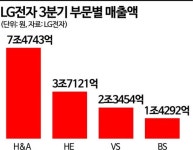 LG컨설던트 유순자 | [컨콜]LG전자 "전장 매출 고성장 기대"…미래 동력 믿고 간다(종합)