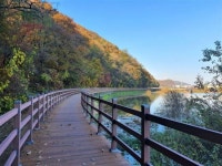 용인 8경 이동저수지 둘레길 1단계 조성 마무리