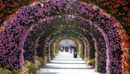 [포토] 거창 창포원, 국화 터널에서 가을 산책