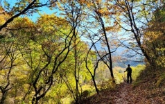 [여행만리]‘마음은 부자’ 되는 소박한 지리산둘레길