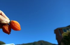 [여행만리]‘마음은 부자’ 되는 소박한 지리산둘레길