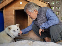 文, 반려견 마루 사망…北 풍산개 곰이와 남북합작