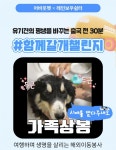 어바웃펫, ‘함께갈개 챌린지’…유기견 해외입양 돕는다