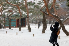 [포토]오후에도 눈