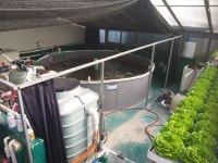 경기해양수산자원硏, 아쿠아포닉스 시범양식장 김포와 이천에 설치