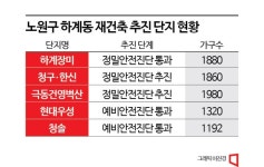 노원 하계 재건축도 활짝 꽃핀다…하계장미 안전진단 통과