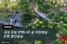 [하루만보]국내 유일 편백나무 숲 무장애길…은평 봉산숲길