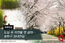 [하루만보]도심 속 자연을 벗 삼아 걷는다…송파구 성내천길