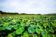[the리스트]매일 걸어도 질리지 않는 걷기 명소…하루 만보도 거뜬