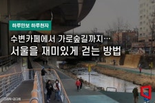 [하루만보 하루천자]수변카페에서 가로숲길까지…서울걷기 재밌어진다