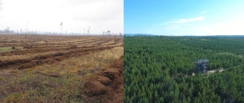 유한킴벌리, 20년 연속 한국에서 가장 존경받는 기업 선정
