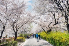 [하루만보] 함께 걸으면 기쁨이 두배…동대문 힐링산책길