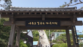 [하루만보]대게 먹고 ‘동백꽃’ 日가옥거리 걷고…구룡포 100배 즐기기