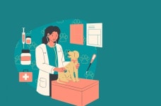 커지는 펫케어 시장… 사람 약 제조시설에서 동물 약도 제조 가능케 해야