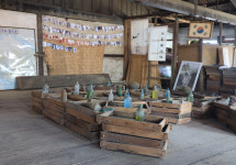 [구은모의 酒저리]금풍양조, 백년의 시간이 쌓인 그리고 쌓여갈 공간