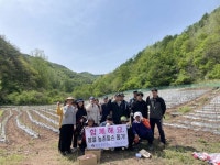 일손부족농가 일손 더하기 … 영양군 청기면, 영농철 고추농가 일손돕기 나서