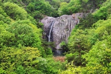 [조용준의 여행만리]새소리 바람소리 고요한 동행, 직소폭포가는길