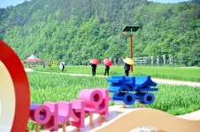 초록의 향연 ‘산소카페 청송정원’