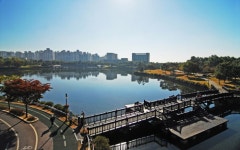 [하루만보]라페·웨돔 그리고 호수공원…정발산역