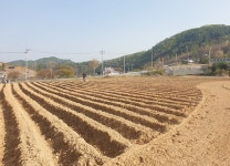 [구은모의 酒저리]양평맑은술도가, 한 잔의 국화 막걸리를 위하여