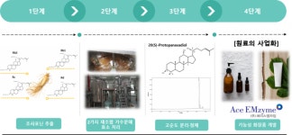 에이스엠자임, 희귀 진세노사이드 ‘20(S)-Protopanaxadiol’ 고순도 생산법 특허 출원 완료