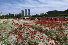 봄향기 쏟아집니다… 울산 태화강국가정원 봄꽃축제 ‘짜잔’