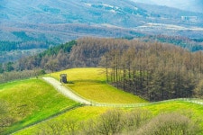 [조용준의 여행만리]알파카 뛰노는 비밀의 숲에서 피크닉~