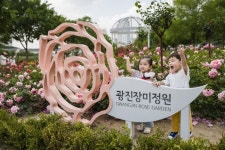 광진장미원 장미 100만송이 활짝