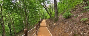 창원특례시,“숲속 산책길 성주사 황토길 걸어보세요”
