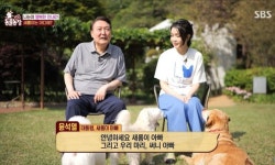 정치농장된 동물농장…방송 폐지해 vs 개 파양보단 낫지