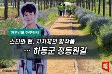 [하루만보 하루천자]스타와 팬, 지자체의 합작품…하동군 정동원길